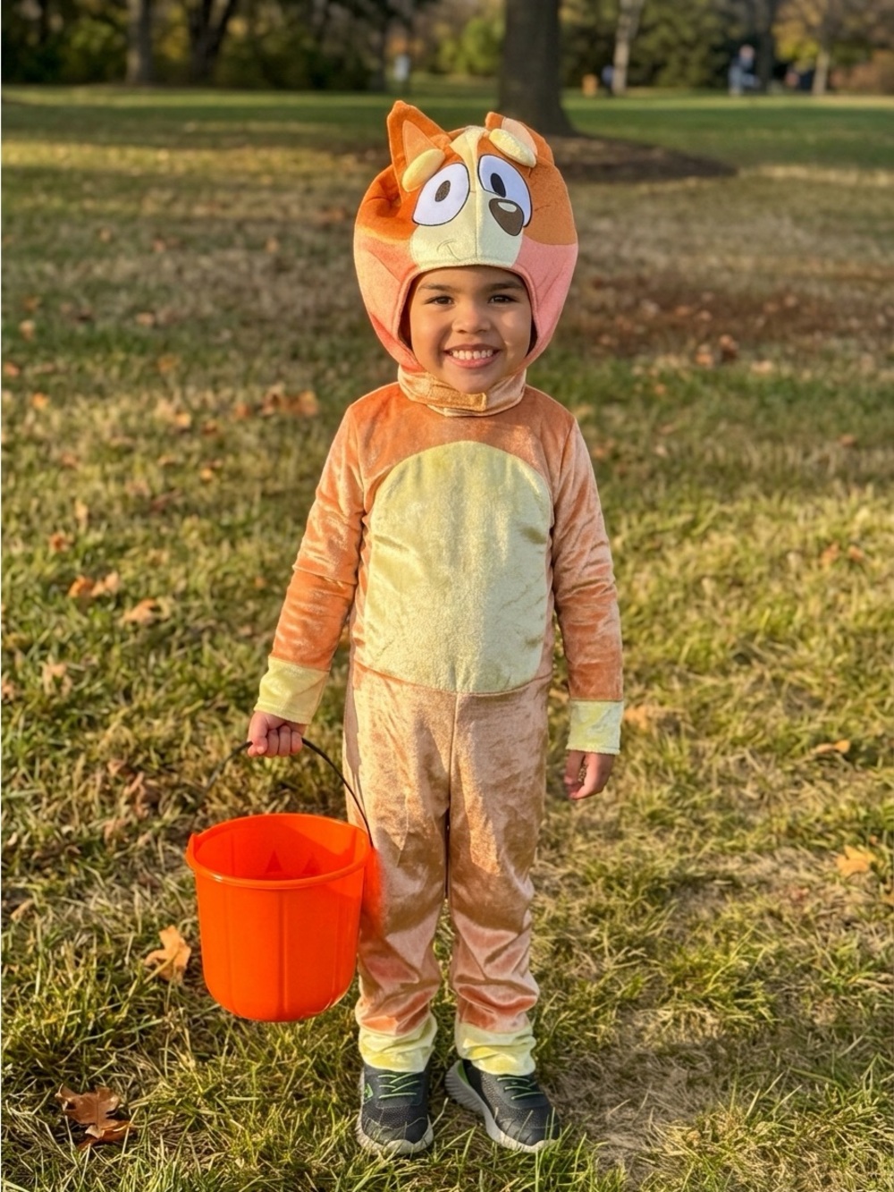 Disney Bluey Bingo Halloween Costume Toddler Size 3T/4T